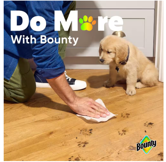 Bounty A-Size Paper Towel Roll (12 Double Rolls)