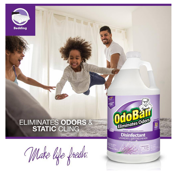 Multi-Purpose 1 Gallon Lavender Disinfectant and Odor Eliminator OdoBan Lavender 2-PK