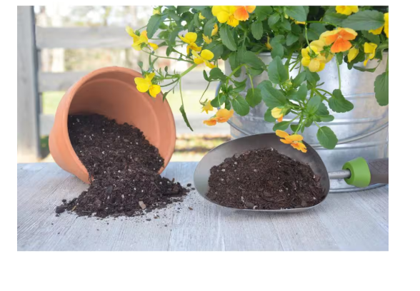 Vigoro 32 qt. All Purpose Potting Soil Mix for Indoor or Outdoor thumbnail 3